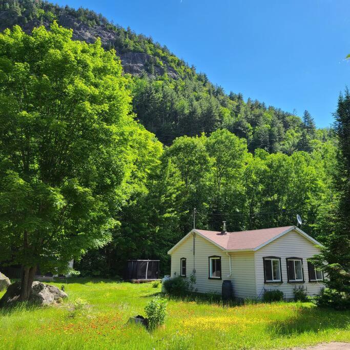 Chalet Falaise By Chalets Nabu Villa Saint-Alexis-des-Monts Eksteriør bilde