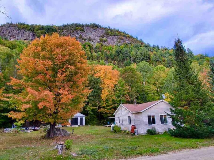 Chalet Falaise By Chalets Nabu Villa Saint-Alexis-des-Monts Eksteriør bilde